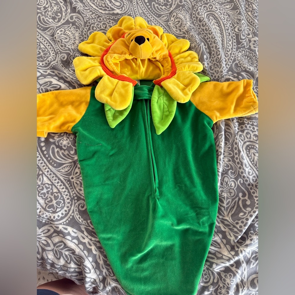 Disney Winnie the Pooh Sunflower Kids Costume - Green and Yellow